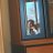 2515_raul