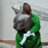 BetSphynx