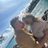 Carlos_Arvid
