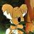 Eva_PMD