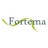 FortemaPont
