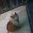 JuniorMax56