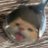 LeMonda__