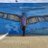 Victor_Dred_C