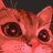 clerkat_