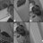 gb05_garcia