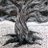 koteones