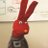 xavimgn